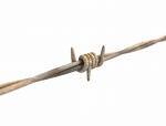 Barbed_wire