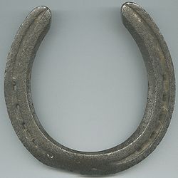 250px-Horseshoe