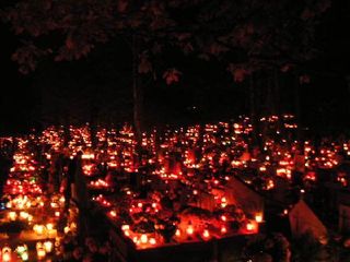 2420647-A_sea_of_light-Poland